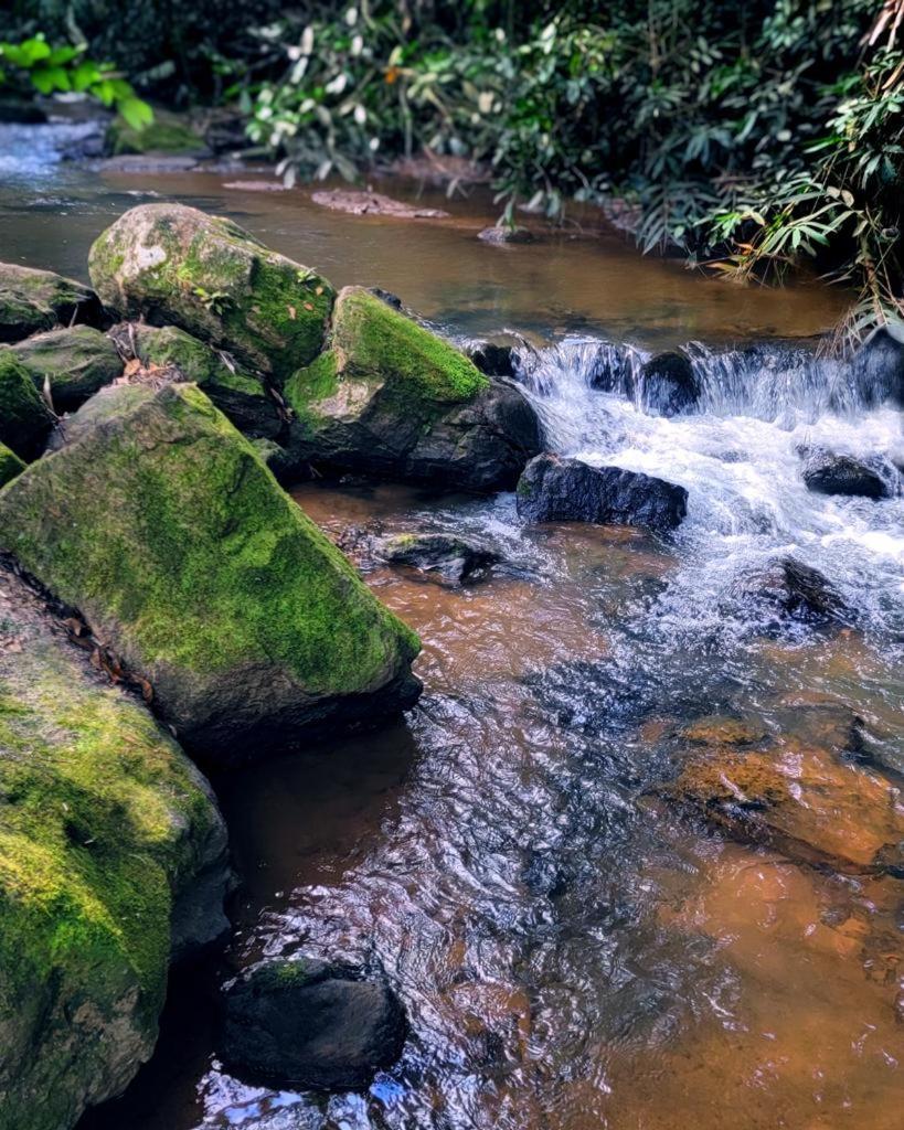 Pousada Sitio Das Pedras دومينغوس مارتينز المظهر الخارجي الصورة
